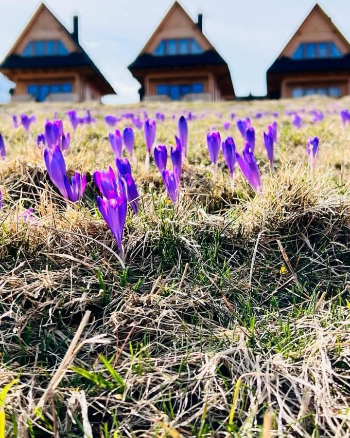 Domki Tatrzanskie Kacina Murzasichle Exteriör bild